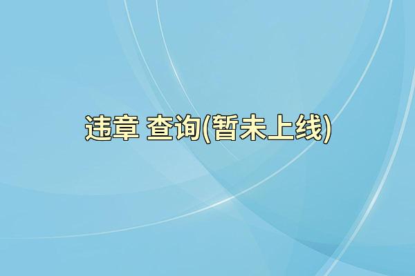 违章 查询(暂未上线)